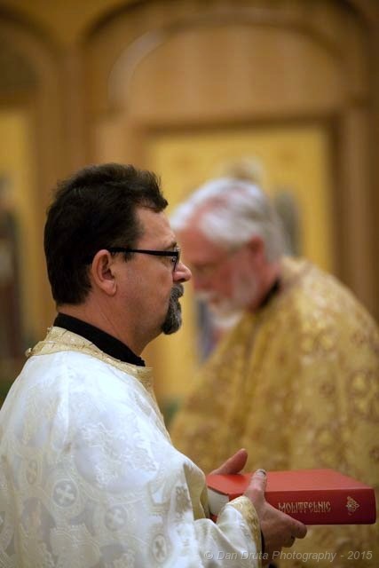 Image 15